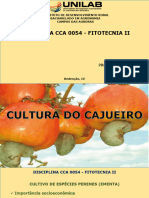 Aula - Cajueiro