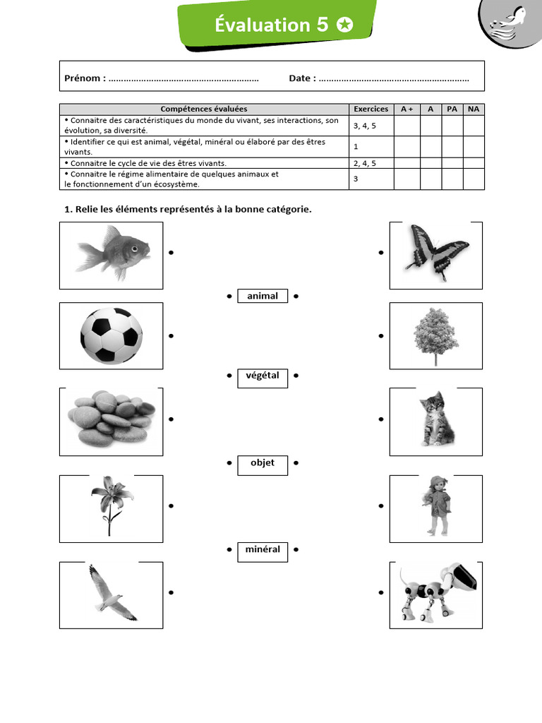 Évaluation de Sciences CE1 à Imprimer | PDF | Glace | Plaie