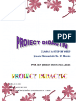 proiect_avap_grad_i