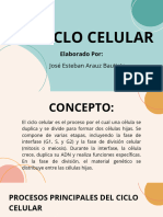 Ciclo Celular - Esteban Arauz