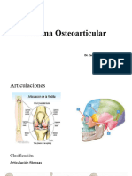 Sistema Osteoarticular