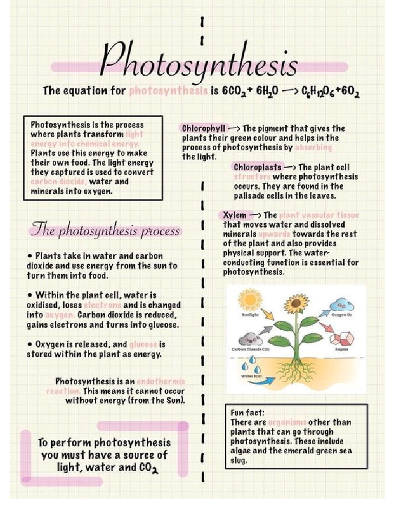 Bio Notes | PDF