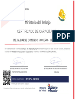 Certif Mejia - Domingo-1307596757