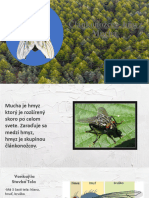 Článkonožce - Hmyz