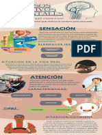 Infografia Sistema Nervioso Anatomico Azul Beige