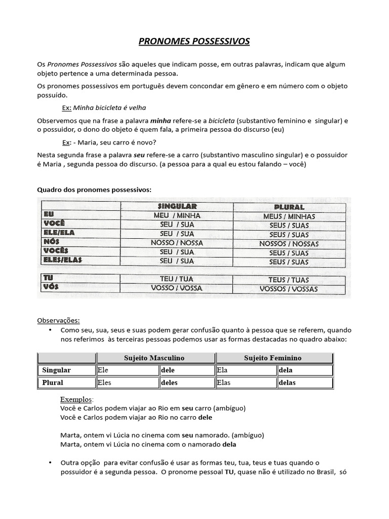 Pronomes Possessivos em Português: Guia Completo | PDF | Pronome | Idiomas