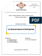 Gouvernance de L'entreprise