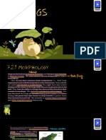 Frog PDF