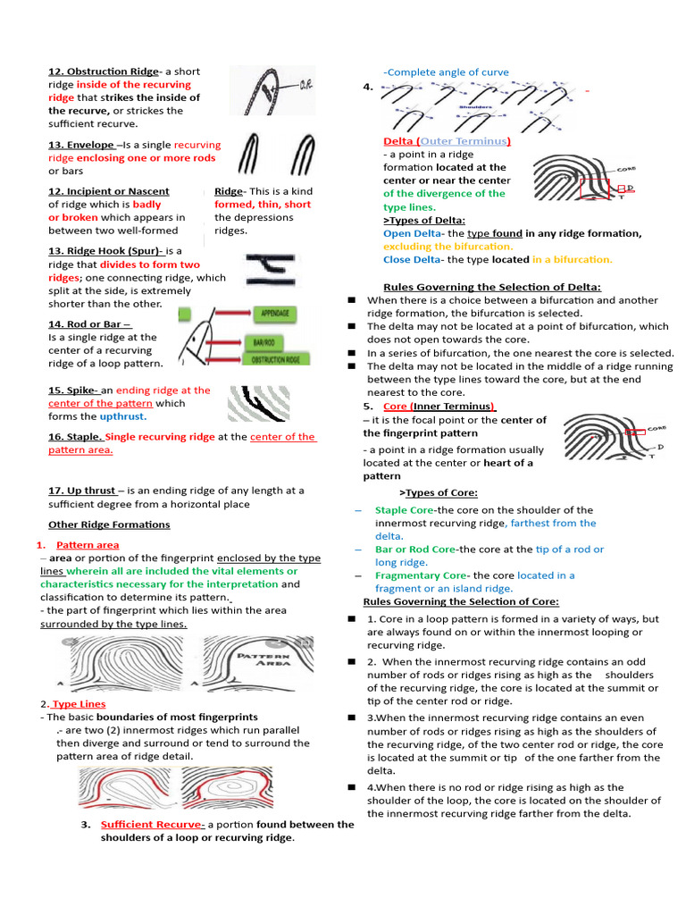 Fingerprint Ridge Types and Rules | PDF | Fingerprint