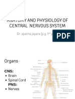 Vdocument in Anatomy and Physiology of Central Nervous System 3
