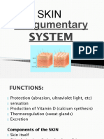 Integumentary System