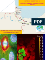 SPM2021 Poc Data1