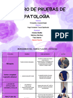 Pruebas de Patologias - Compressed