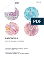 3ª guía de TPs - Patología 1 (para resolver)