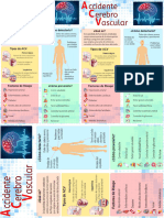 Imagen de Cerebro Vascular