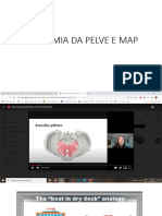 Anatomia Da Pelve e Map