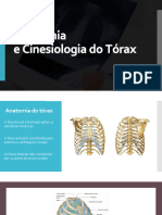 Anatomia e Cinesiologia Do Tórax TBLH