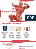 Plantilla Powerpoint Del Sistema Muscular