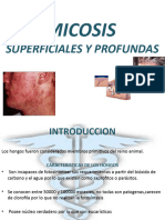 Micosis Plataforma