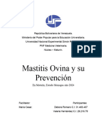 Mastitis Ovina y Su Prevención: en Maturín, Estado Monagas Año 2024