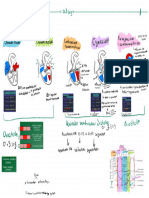 Ciclo Cardiaco Esquematizado 