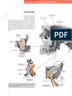 Pterygopalatine Fossa: Arteries, Veins, and Innervation of The Maxilla and The Mandible