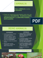 Invertebrados Power A PDF