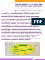 Nutrición en Invertebrados y Vertebrados Respiración, Circulación, Excreción