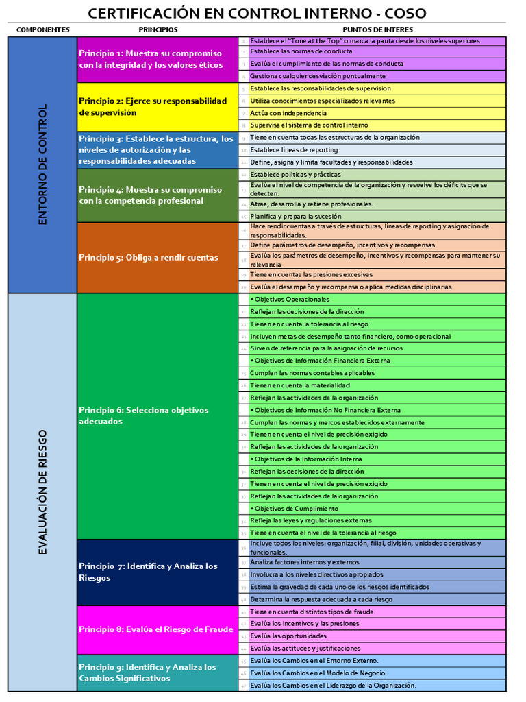 17 Principios del Modelo COSO | PDF | Evaluación