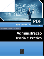 Administracao Teoria e Pratica