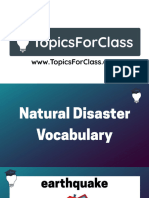 Natural Disasters PowerPoint