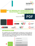 Sunarp, Levantamiento de Incautacion