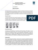 Resumen Mecanismos de Trabajo de Parto - Obstetricia - Cuarenta Pérez Fernando Israel 2024A