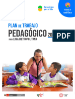 Plan de Trabajo Pedagogico 2024