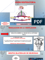Documento Verito PDF