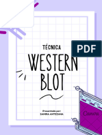 Western Blot