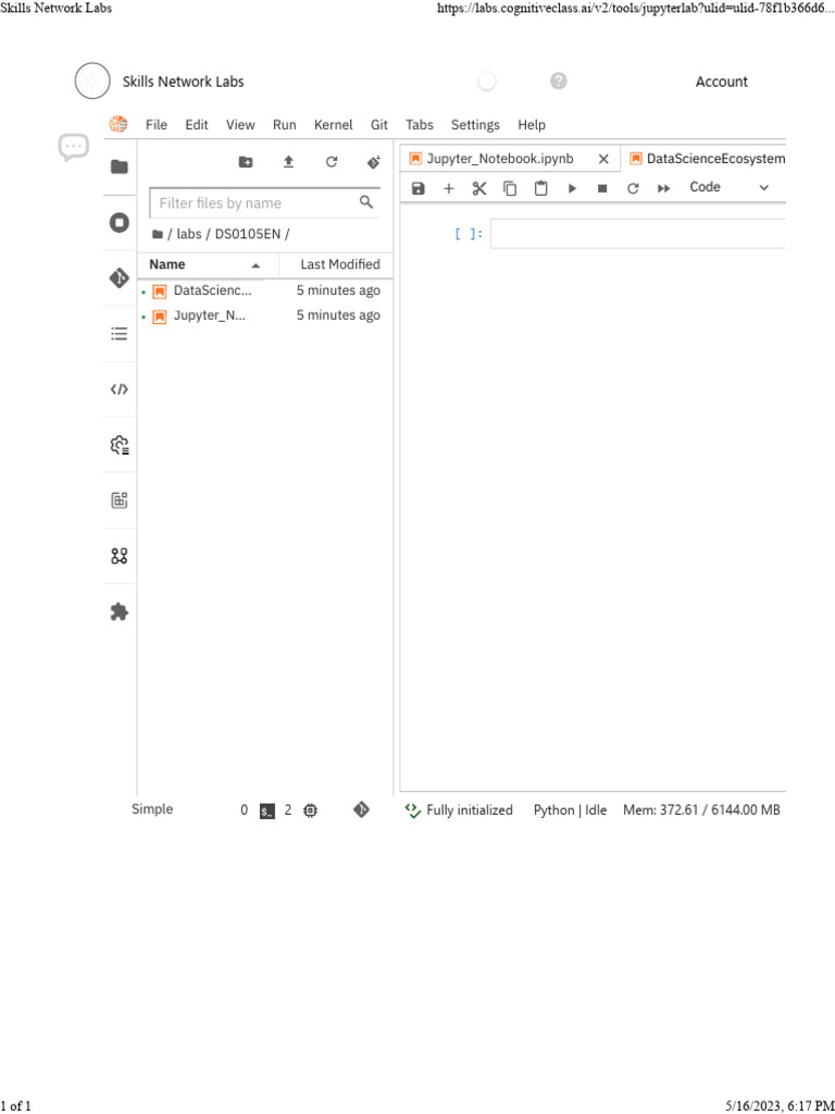 Skills Network Labs PDF