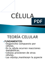 Celula Humanoide