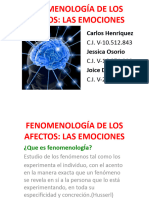 Fenomenología de Los Afectos-Emociones