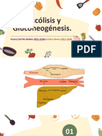 Grupo 1. Glucólisis y Gluconeogénesis.