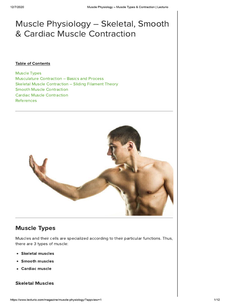 Muscle Physiology - Muscle Types & Contraction - Lecturio | PDF ...