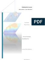 Informe Delimitacion y Elaboracion de Obra Hidraulica - Fin
