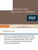 Protozoa Dan Nematoda