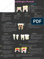 Samara Alcántara. Morfología Dental 