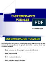 Clase de Enfermedadeds Podales