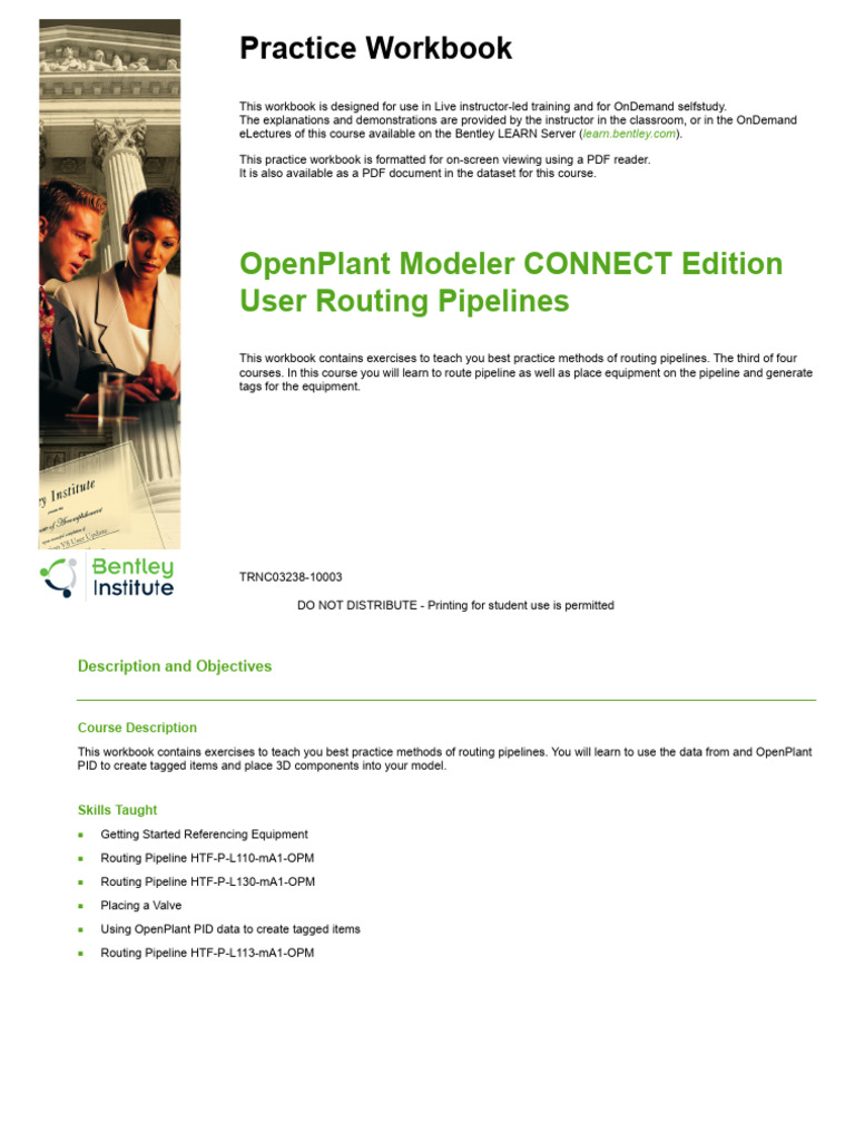 OpenPlant Piping Routing Pipe CE Metric TRNC03238-10003 | PDF | Pipe ...