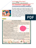 Ficha de Trabajo - 4°