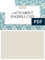 Facts About Ragdoll Cats