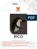 RICO (1) Compressed