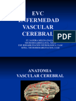 EVC Enfermedad Vascular Cerebral